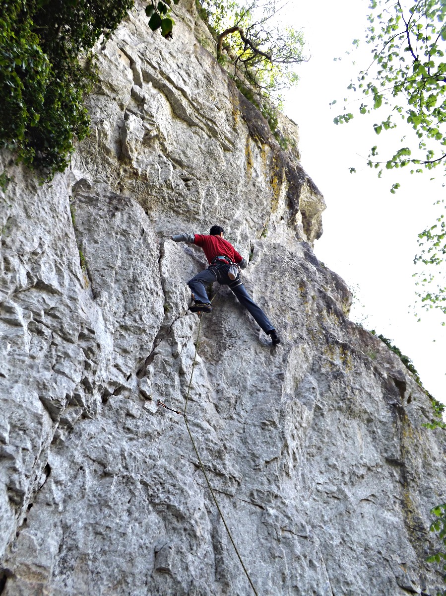 Acuto - Paolo Graziosi su Pulce Pelosa