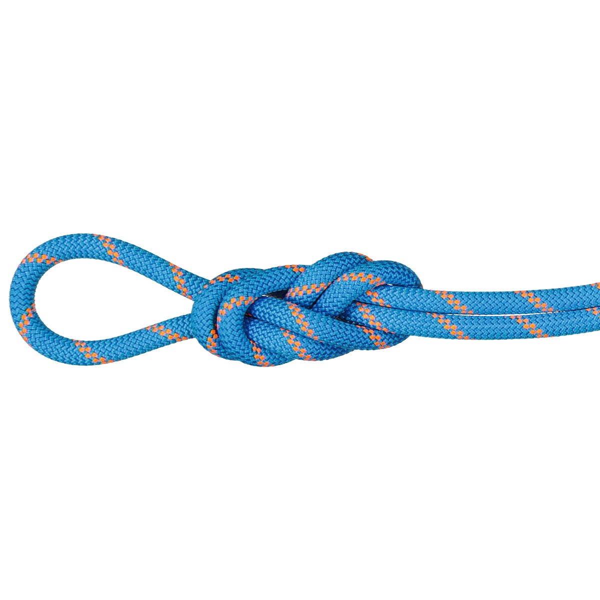 山岳金物店 / EDELRID・エーデルリッド パイトン 50m 10mm