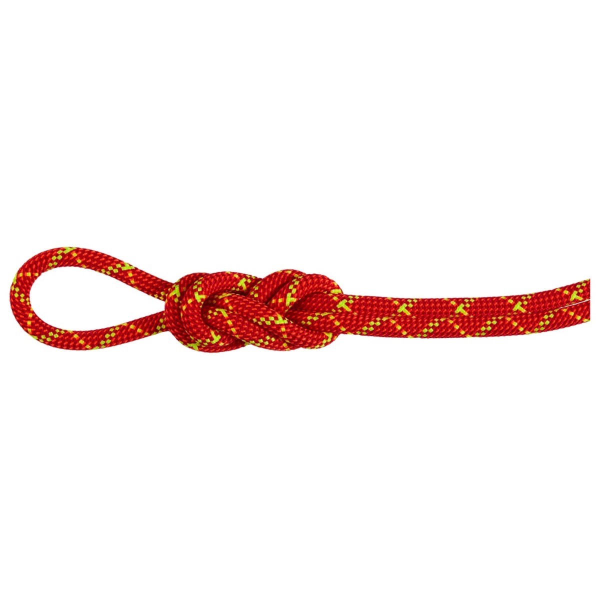 Mammut Shop Online | Oliunìd Mammut Shop Online | Oliunìd