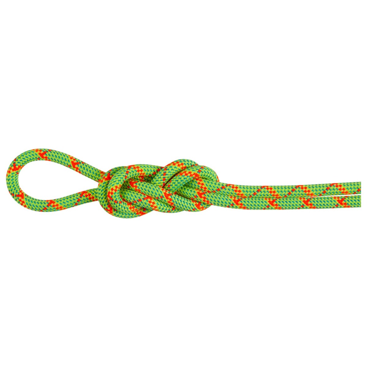 Mammut Shop Online | Oliunìd Mammut Shop Online | Oliunìd