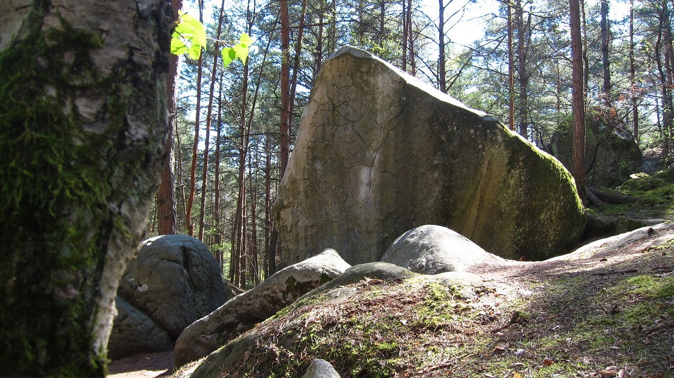 Oliunìd is bloc: boulder a Fontainebleau