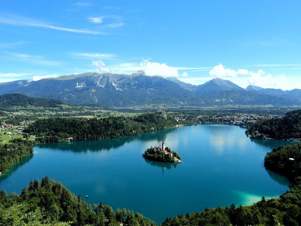 Eventi di Arrampicata: Finale Lead di Coppa del Mondo a Kranj