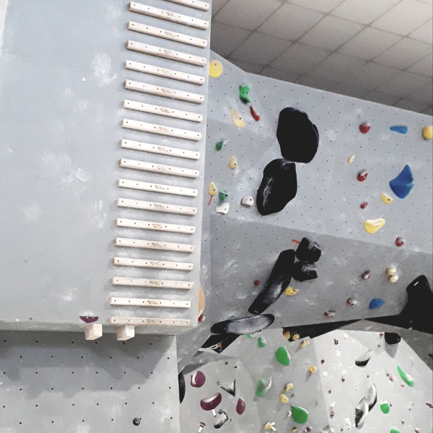 Quali prese installare sul Pan Güllich